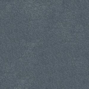 HARD AT PLAY I 12' by Shaw Floors - Reflection