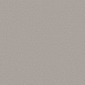 INTRICATE TRACE by Shaw Floors - Rock Crystal
