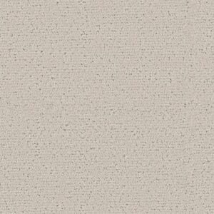 INTRICATE TRACE by Shaw Floors - Marble