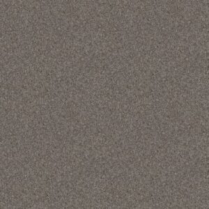 CALM SIMPLICITY II by Shaw Floors - Newstone Haven