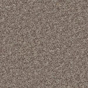 BREAK AWAY (S) by Shaw Floors - Charcoal