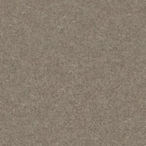 HEROIC by Shaw Floors - Free Spirit