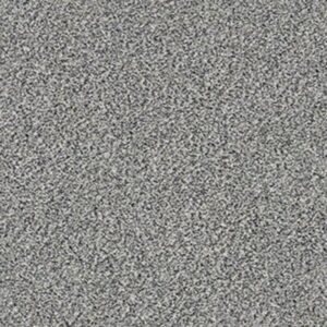 WITHIN REACH III by Shaw Floors - Serene Still