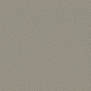 HONEST TO GOODNESS by Shaw Floors - Sterling
