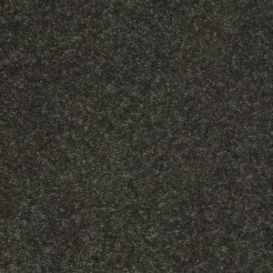 BEAUTIFULLY SIMPLE II 12 by Shaw Floors - Aspen