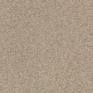 ALWAYS MINE by Shaw Floors - Mushroom