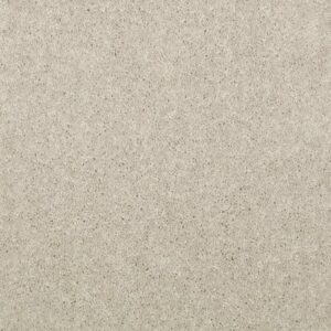 NEWBERN CLASSIC 15' by Shaw Floors - Dove