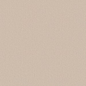 LACONA 15' by Shaw Floors - Alabaster