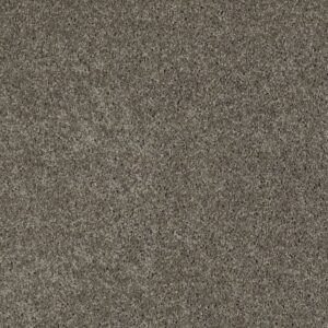 AROUND THE HOUSE II by Shaw Floors - Grey Flannel