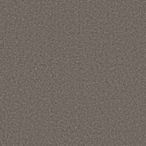 JUST A HINT II by Shaw Floors - Steel