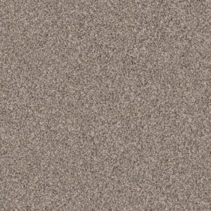 EXPLORATION by Shaw Floors - Barn Wood