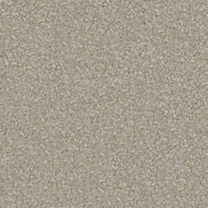 MAJORITY RULES by Shaw Floors - Coastal Fog