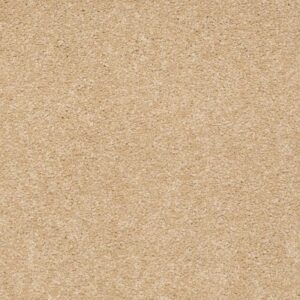 SANDY HOLLOW CLASSIC IV 15' by Shaw Floors - Cornfield