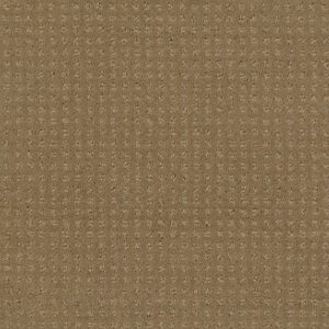 MY CHOICE PATTERN by Shaw Floors - Cappuccino