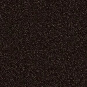 ALL STAR WEEKEND III 12' by Shaw Floors - Coffee Bean