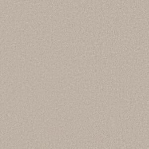 CASHMERE CLASSIC III by Shaw Floors - Bismuth