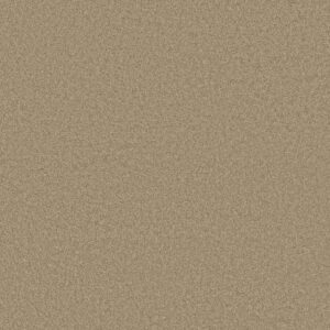 CASHMERE CLASSIC III by Shaw Floors - Pecan Bark