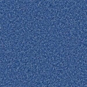 KIDS RULE by Shaw Floors - Cobalt Vibe