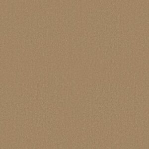 SHINGLE CREEK IV 15' by Shaw Floors - Cork