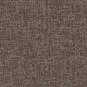 FINE STRUCTURE by Shaw Floors - Ridgeview