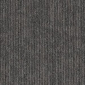 CONTENDER by Philadelphia Commercial - Champion