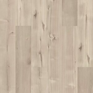 Symbiotic 12 by Shaw Floors - Canvas