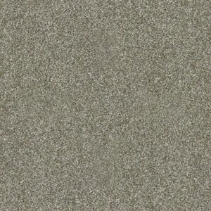 INSPIRING by Shaw Floors - Silver Sage