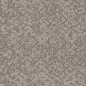 FREE SPIRIT by Shaw Floors - Cold Winter