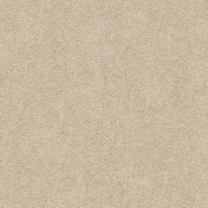 FIND YOUR COMFORT NS I by Shaw Floors - Dinner With Friends (S)