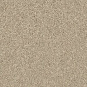 JEALOUSY by Shaw Floors - Marble