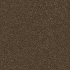 DESIGNER'S CHOICE by Shaw Floors - Briar Patch