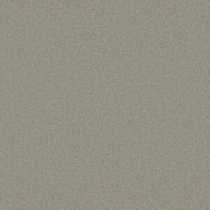 MAGIC AT LAST I 12' by Shaw Floors - Nickel