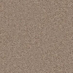 GO BIG by Shaw Floors - Pebble