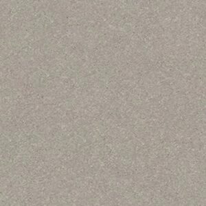WELL GROUNDED II 12 by Shaw Floors - Greige