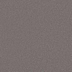 HARMONIOUS I by Shaw Floors - Deep Connection