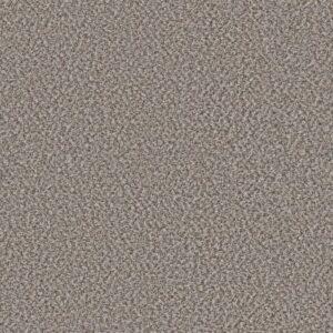 BREAK AWAY (B) by Shaw Floors - Clam Shell