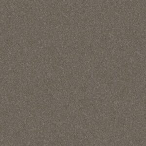 WITHOUT LIMITS II by Shaw Floors - Travatan