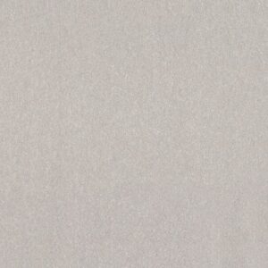 HARD AT PLAY III 12' by Shaw Floors - Frozen