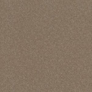 HARD AT PLAY II 12' by Shaw Floors - Cameo
