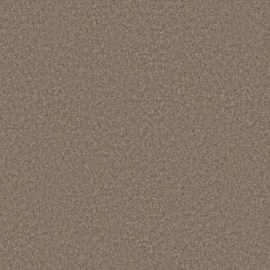 YOU GOT THIS II by Shaw Floors - Cameo