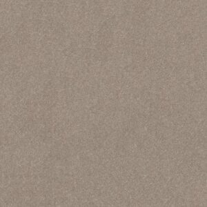 HARD AT PLAY III 15' by Shaw Floors - Glacier