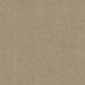 MOMENT OF TRUTH by Shaw Floors - French Canvas