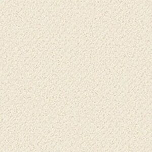 TRUE REFLECTIONS LOOP by Shaw Floors - China Pearl
