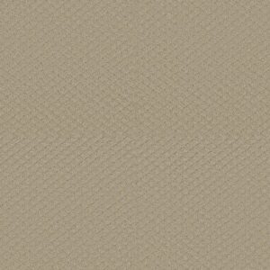 NEW VENTURE by Shaw Floors - Frost