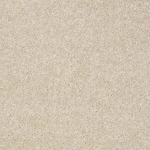 RESOLUTION by Shaw Floors - Naturale
