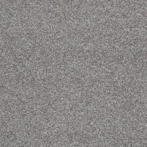 ALWAYS READY I by Shaw Floors - Washed Gray