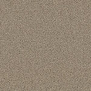 ELEMENTAL MIX I by Shaw Floors - Twine