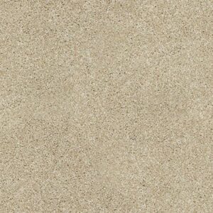 PICTURESQUE by Shaw Floors - Field Stone