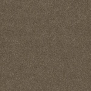 YOU KNOW IT by Shaw Floors - Saddle