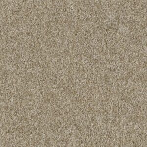 PLAY HARD by Shaw Floors - Taupe Stone